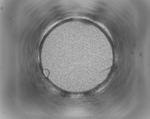 X0000087750887200706041059