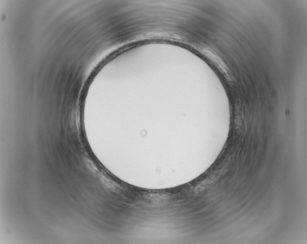 X0000087750888200706041059