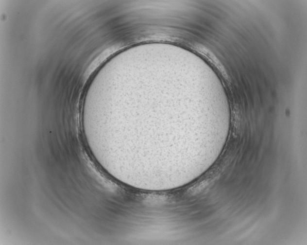 X0000087750890200706041059