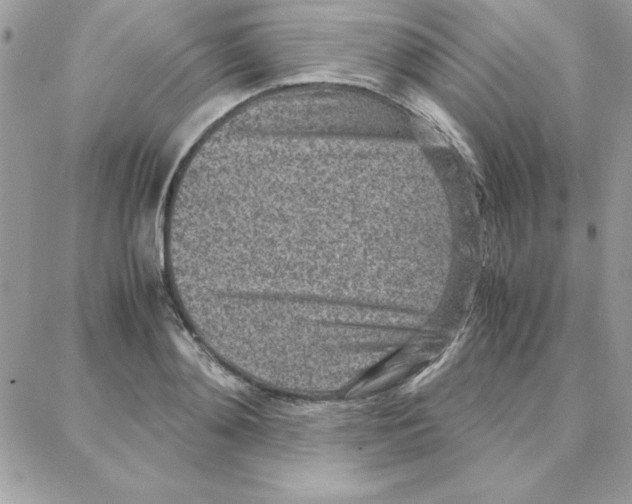 X0000087750892200706041059