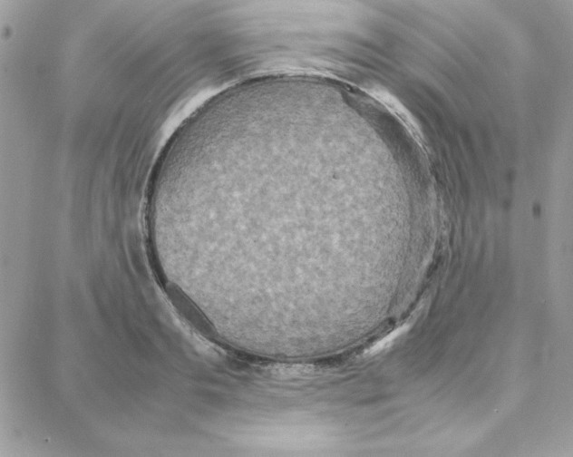 X0000087750893200706041059