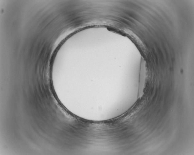 X0000087750894200706041059