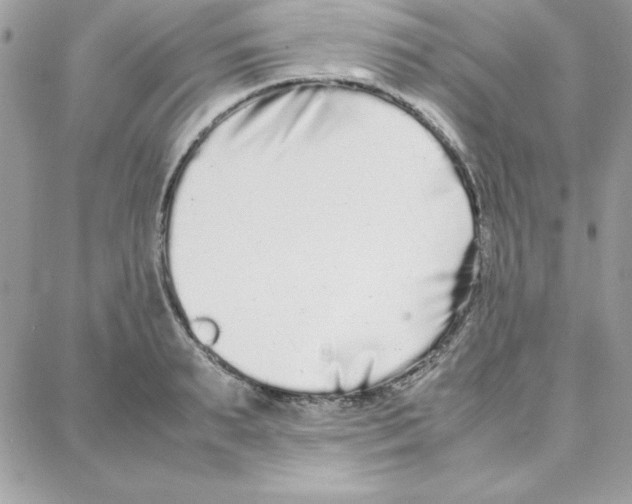 X0000087750895200706041059