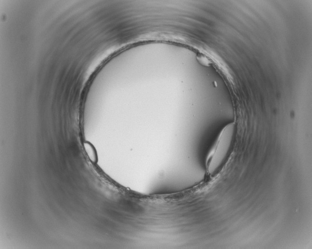 X0000087750896200706041059