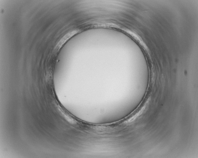 X0000087750897200706041059