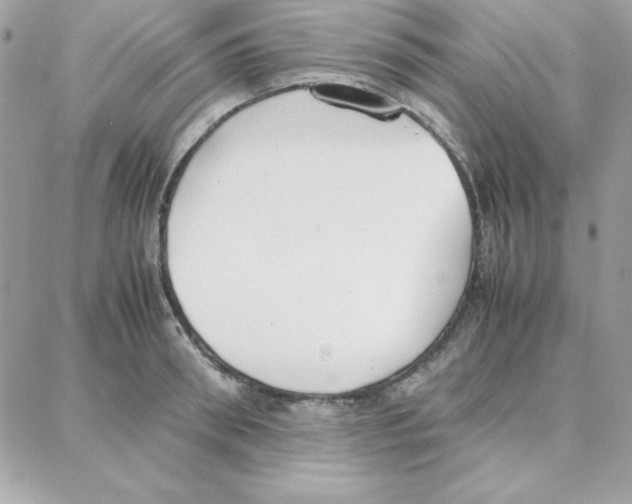 X0000087750898200706041059