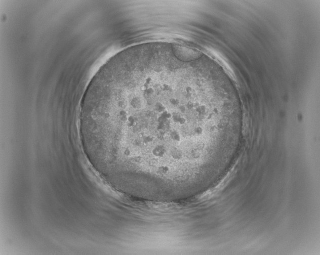 X0000087750899200706041058