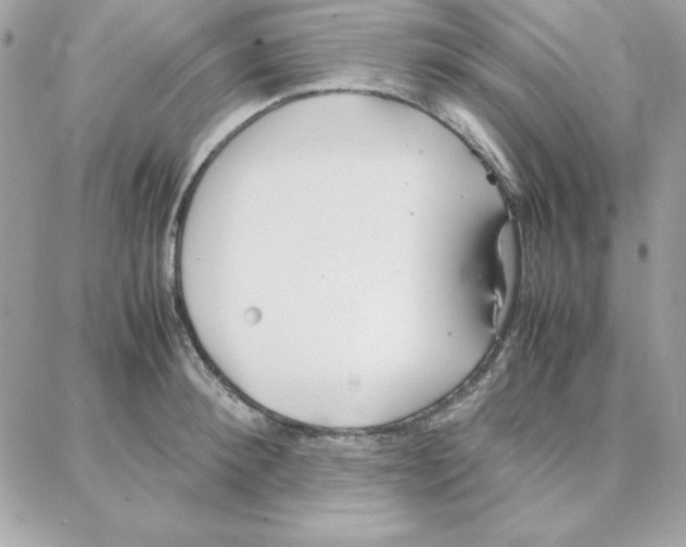 X0000087750900200706041058