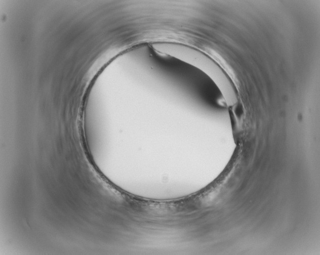 X0000087750901200706041058