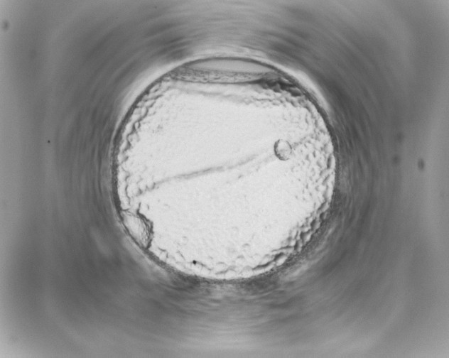 X0000087750903200706041058