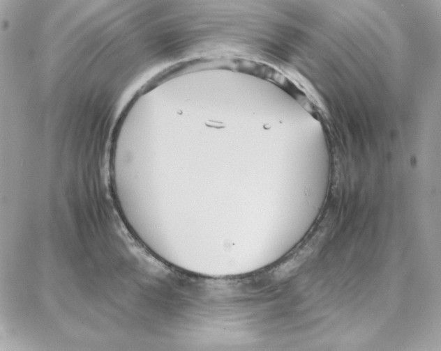 X0000087750904200706041058