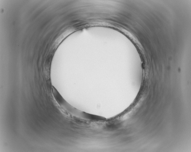 X0000087750905200706041058