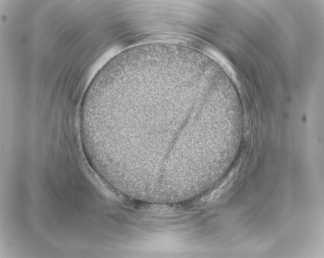 X0000087750907200706041058