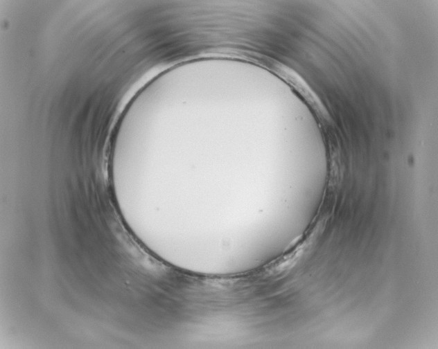 X0000087750908200706041058