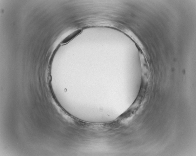 X0000087750909200706041058