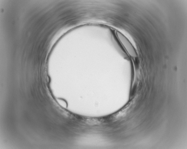 X0000087750911200706041058