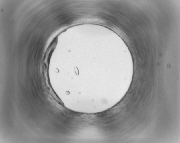 X0000087750912200706041058