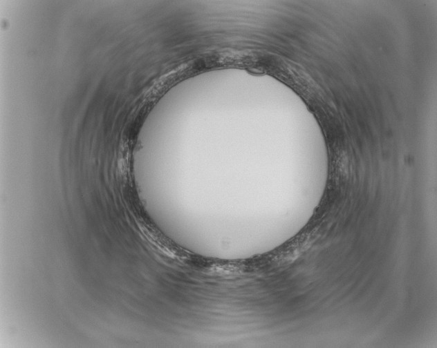 X0000087750914200706041058