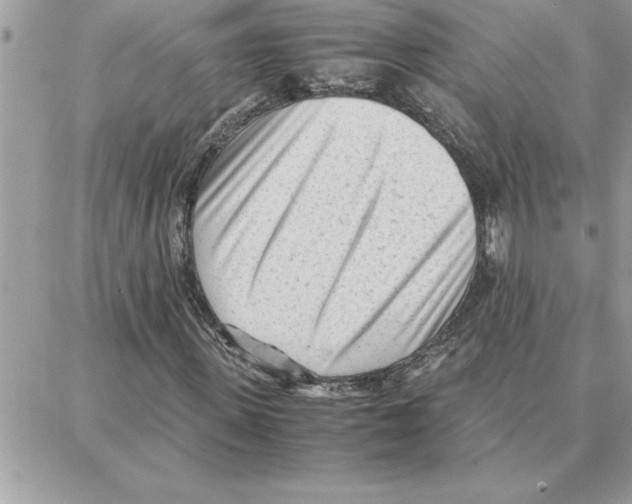 X0000087750915200706041058