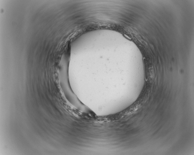 X0000087750916200706041058