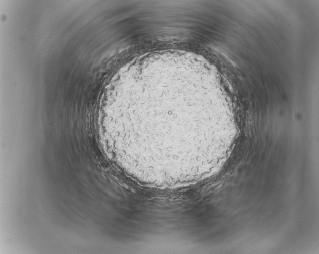 X0000087750917200706041058