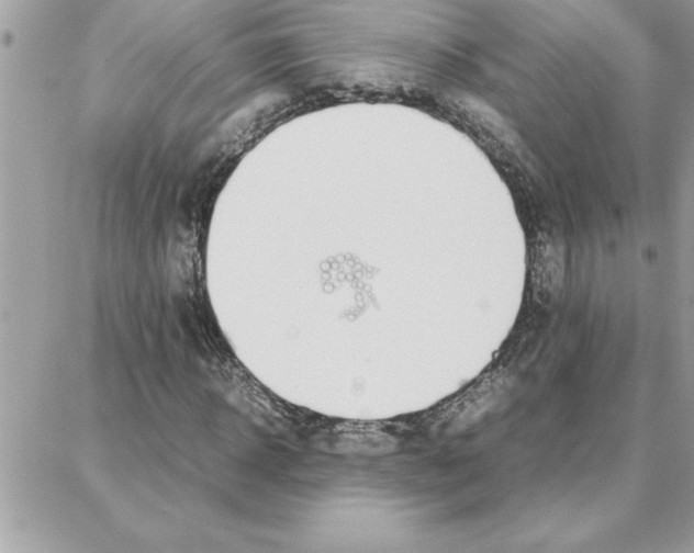 X0000087750918200706041058