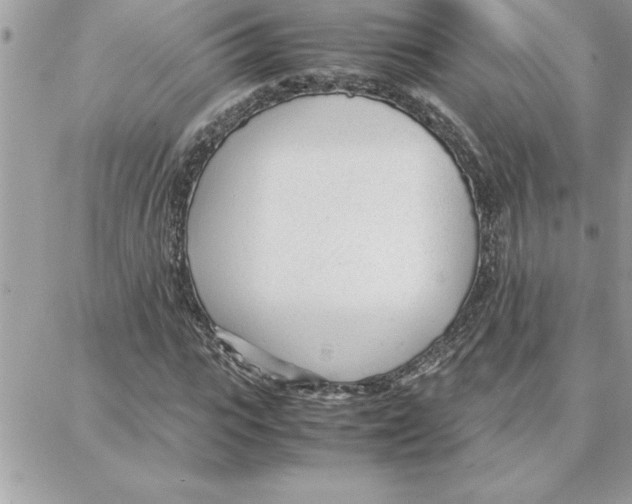 X0000087750919200706041058