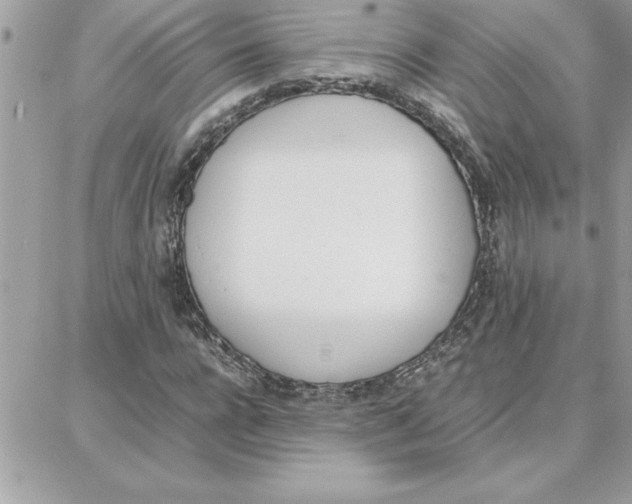 X0000087750920200706041058