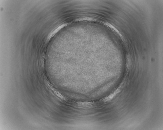 X0000087750921200706041058