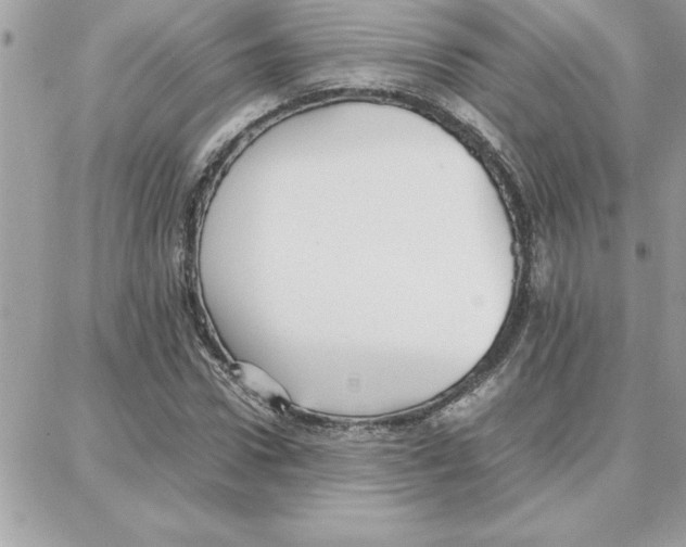 X0000087750922200706041058