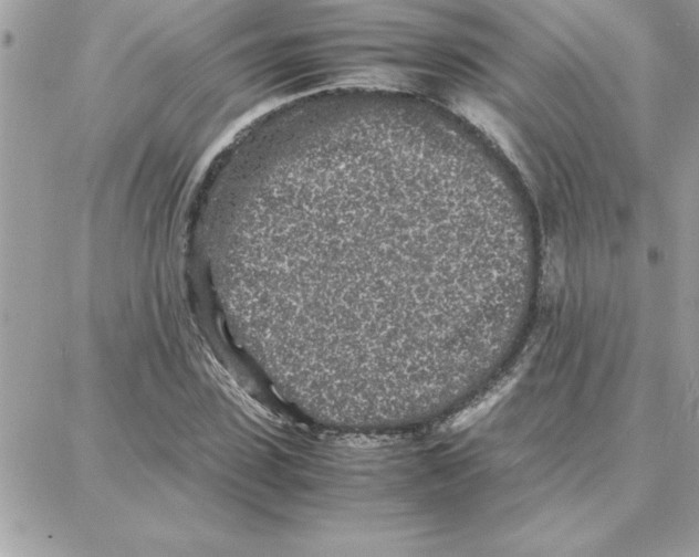 X0000087750923200706041058