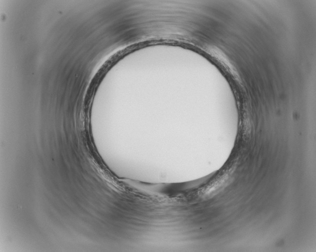 X0000087750924200706041058