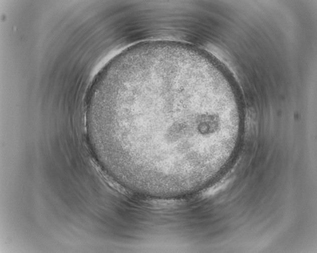 X0000087750925200706041058