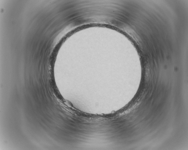 X0000087750926200706041058