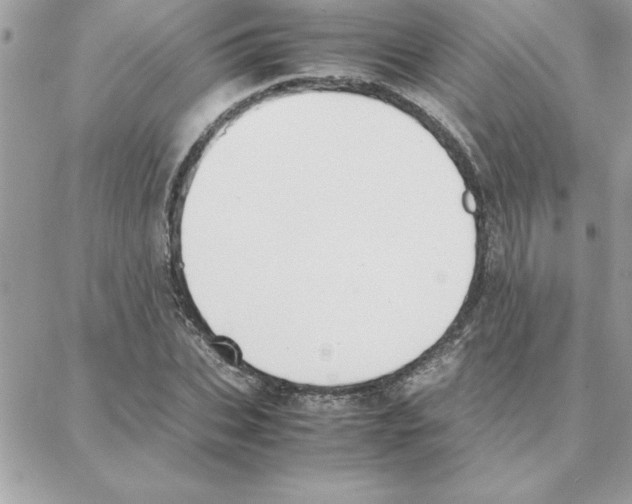 X0000087750927200706041058