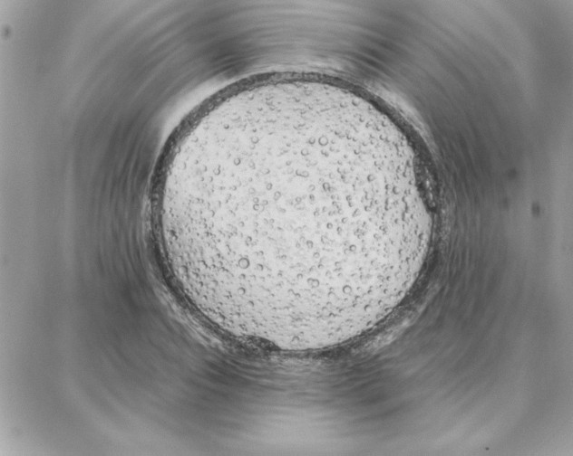 X0000087750928200706041058