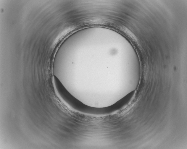 X0000087750930200706041058