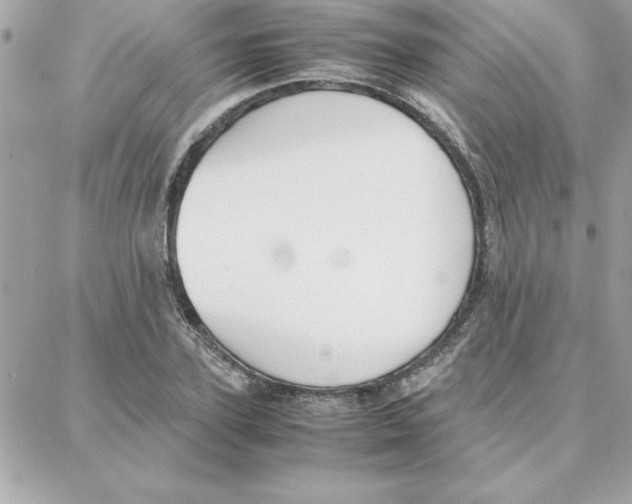 X0000087750931200706041058