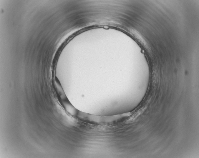 X0000087750932200706041058