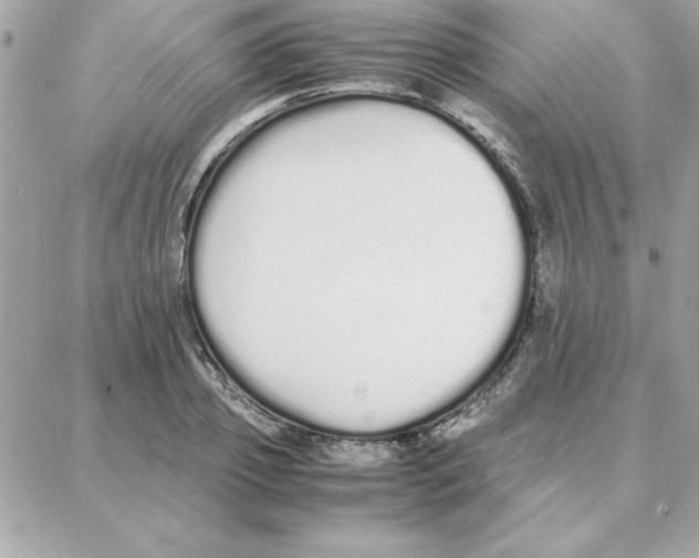 X0000087750933200706041058