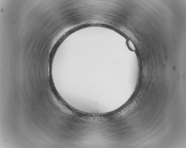 X0000087750934200706041058