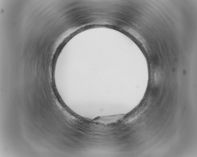 X0000087750935200706041058