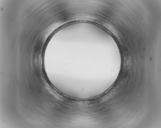 X0000087750936200706041058