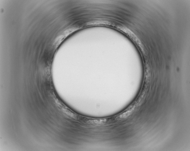 X0000087750937200706041058