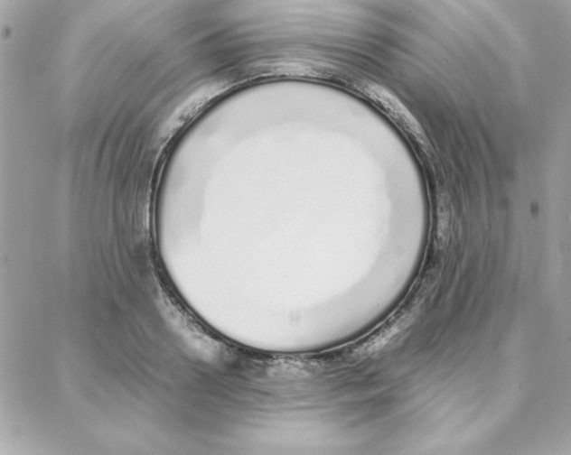 X0000087750938200706041058