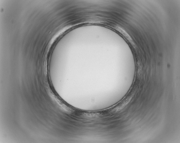 X0000087750939200706041058