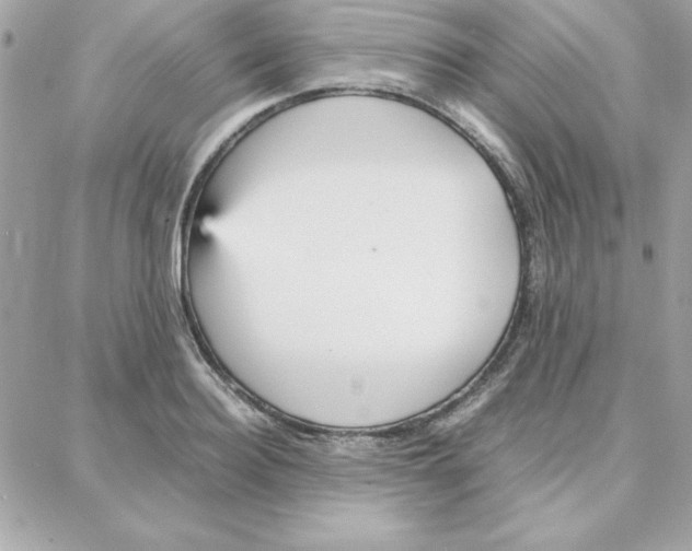 X0000087750940200706041058