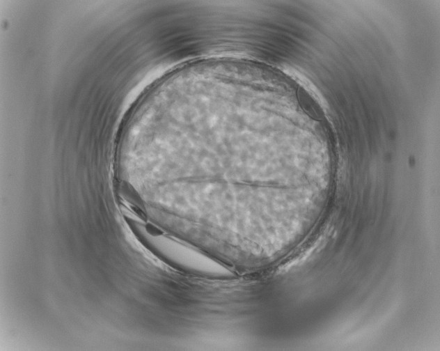 X0000087750941200706041058