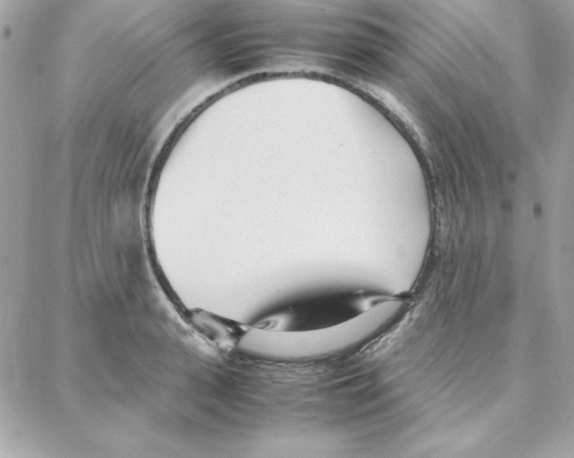 X0000087750943200706041058