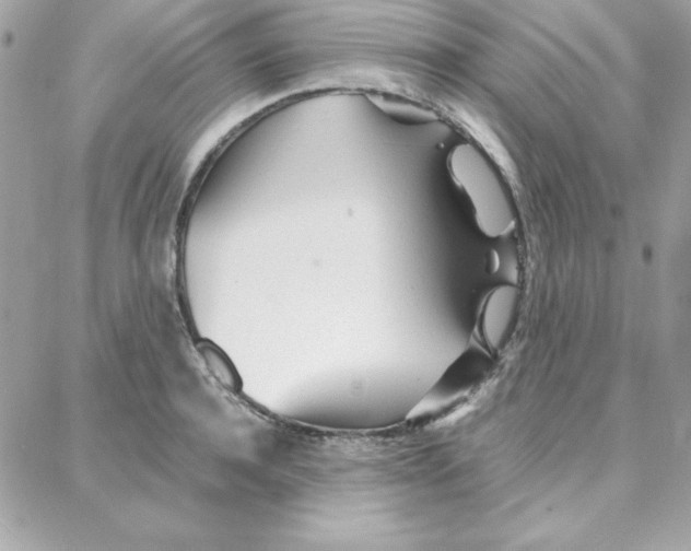 X0000087750944200706041058